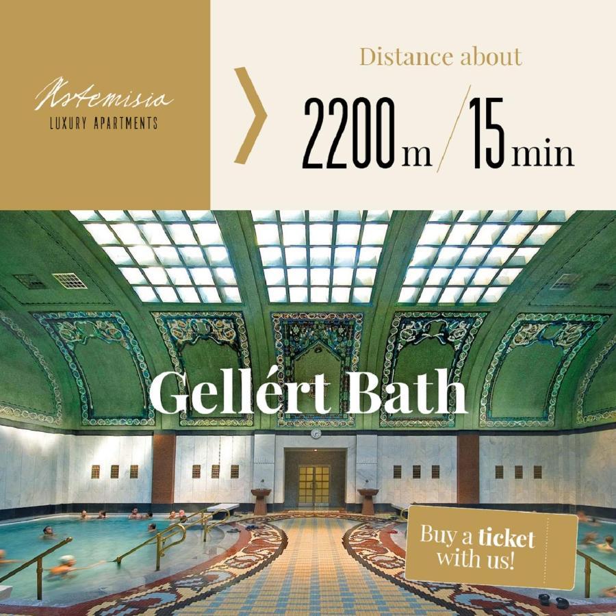 בודפשט Artemisia Luxury Apartments Balcony מראה חיצוני תמונה